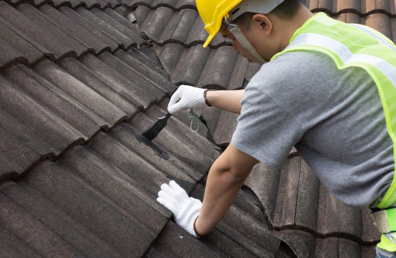 Professional Roofing